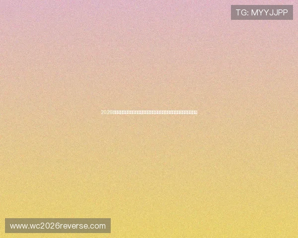 2026世界杯新西兰对阵埃及比赛交通指南：如何高效规划出行路线与避免交通拥堵